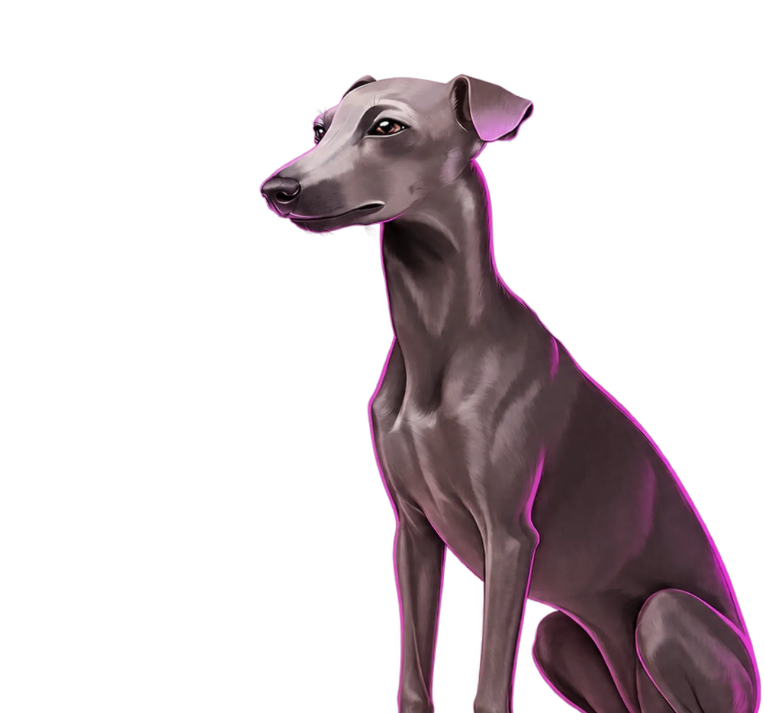 Iggy Racing desktop action banner character